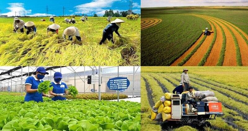 Vai trò quan trọng của ngành nông nghiệp nông thôn