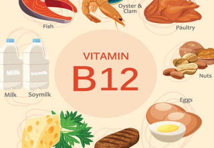 Thực phẩm chứa nhiều vitamin B12 nhất