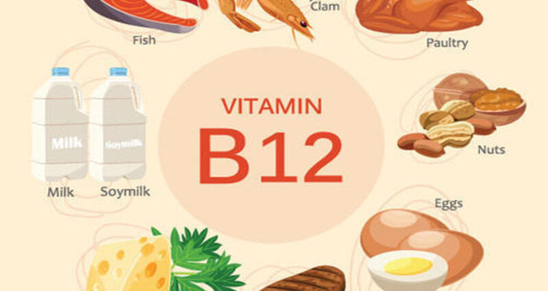 Thực phẩm chứa nhiều vitamin B12 nhất