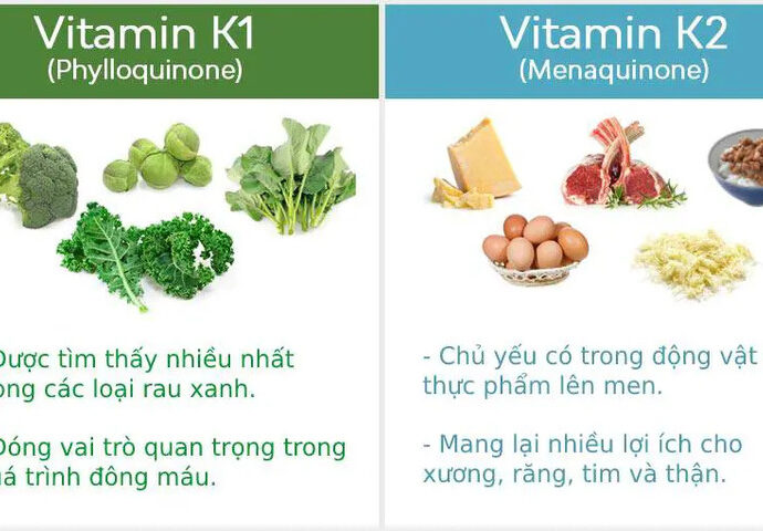 Thực phẩm chứa nhiều vitamin K