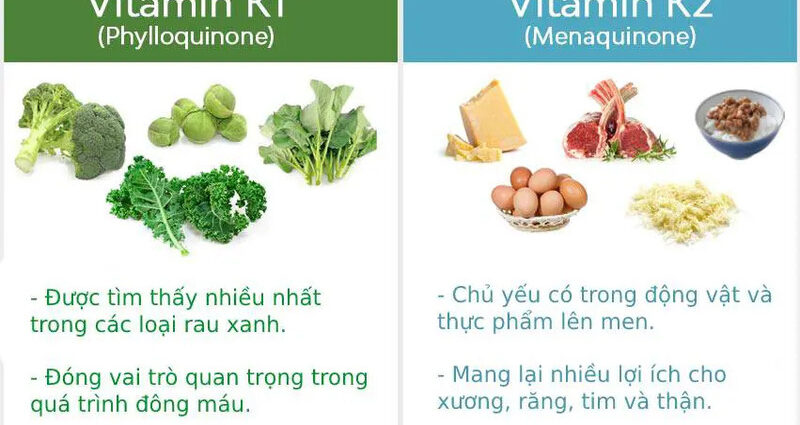 Thực phẩm chứa nhiều vitamin K